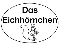 Mindmap-Eichhörnchen.pdf